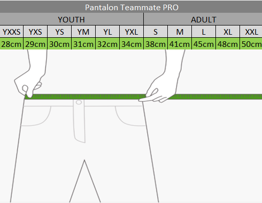 Teammate Pantalon Baseball PRO - Gris