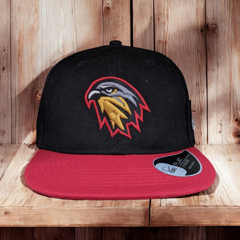 Gorra Oficial Vencejos de Granada Bicolor