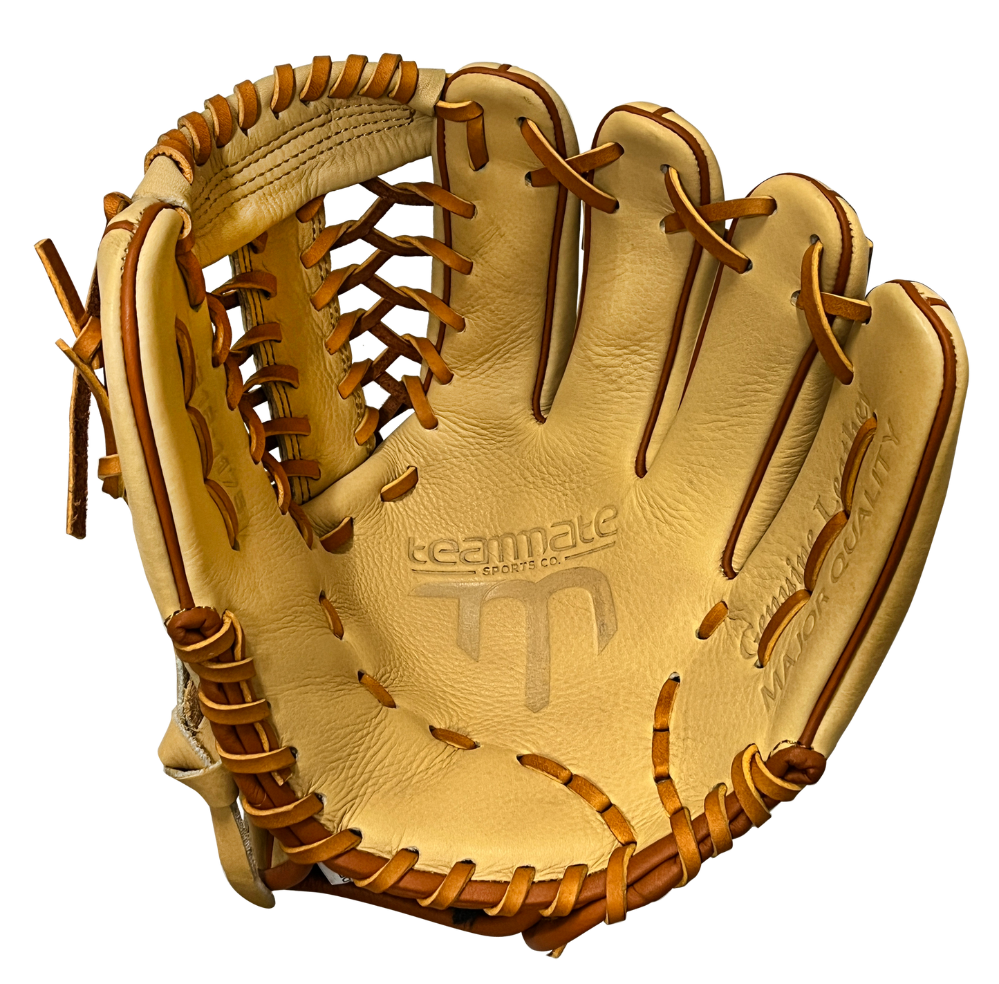 TMG18-1175 - Glory Series